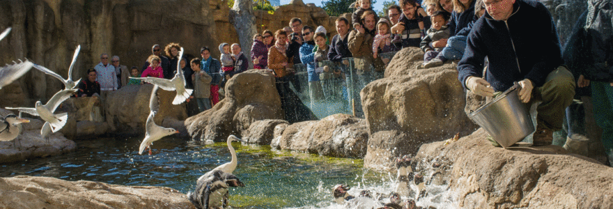 parc zoologique à Lyon