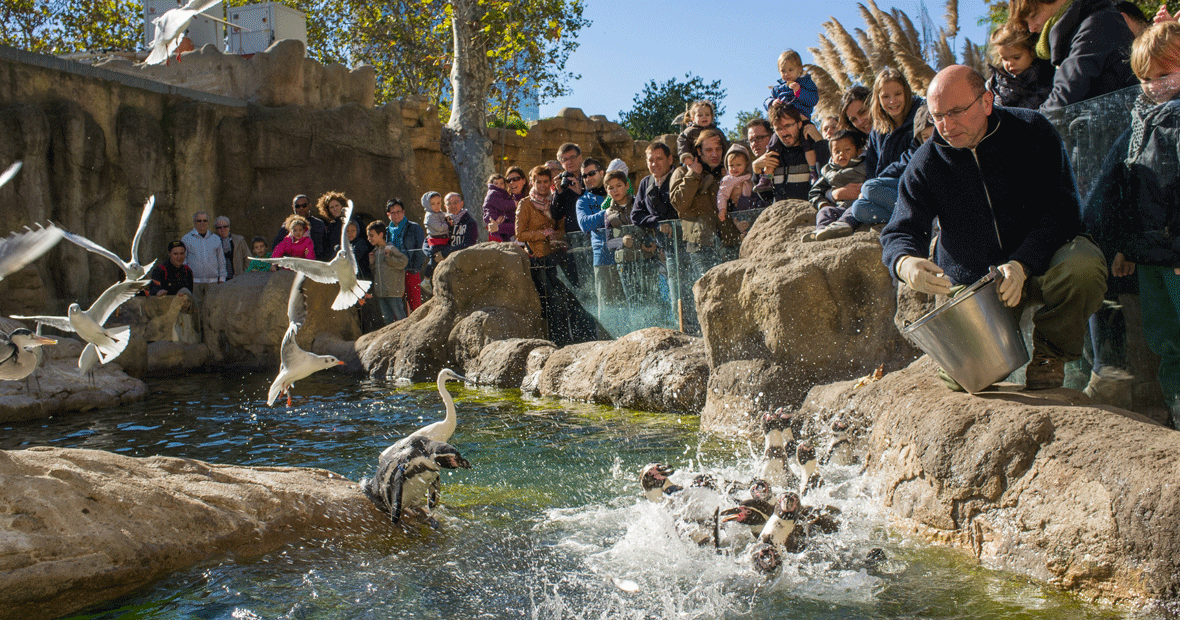 parc zoologique à Lyon